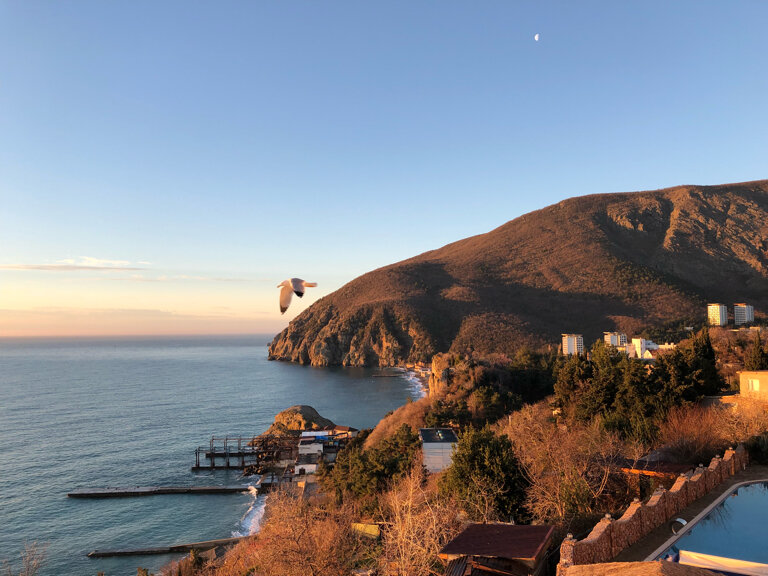 Гостиница Маджестик Партенит-16