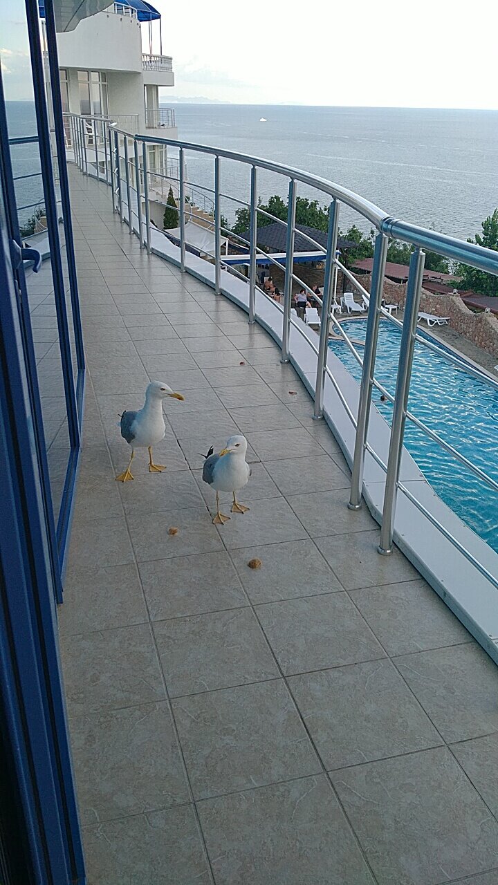 Гостиница Маджестик Партенит-160