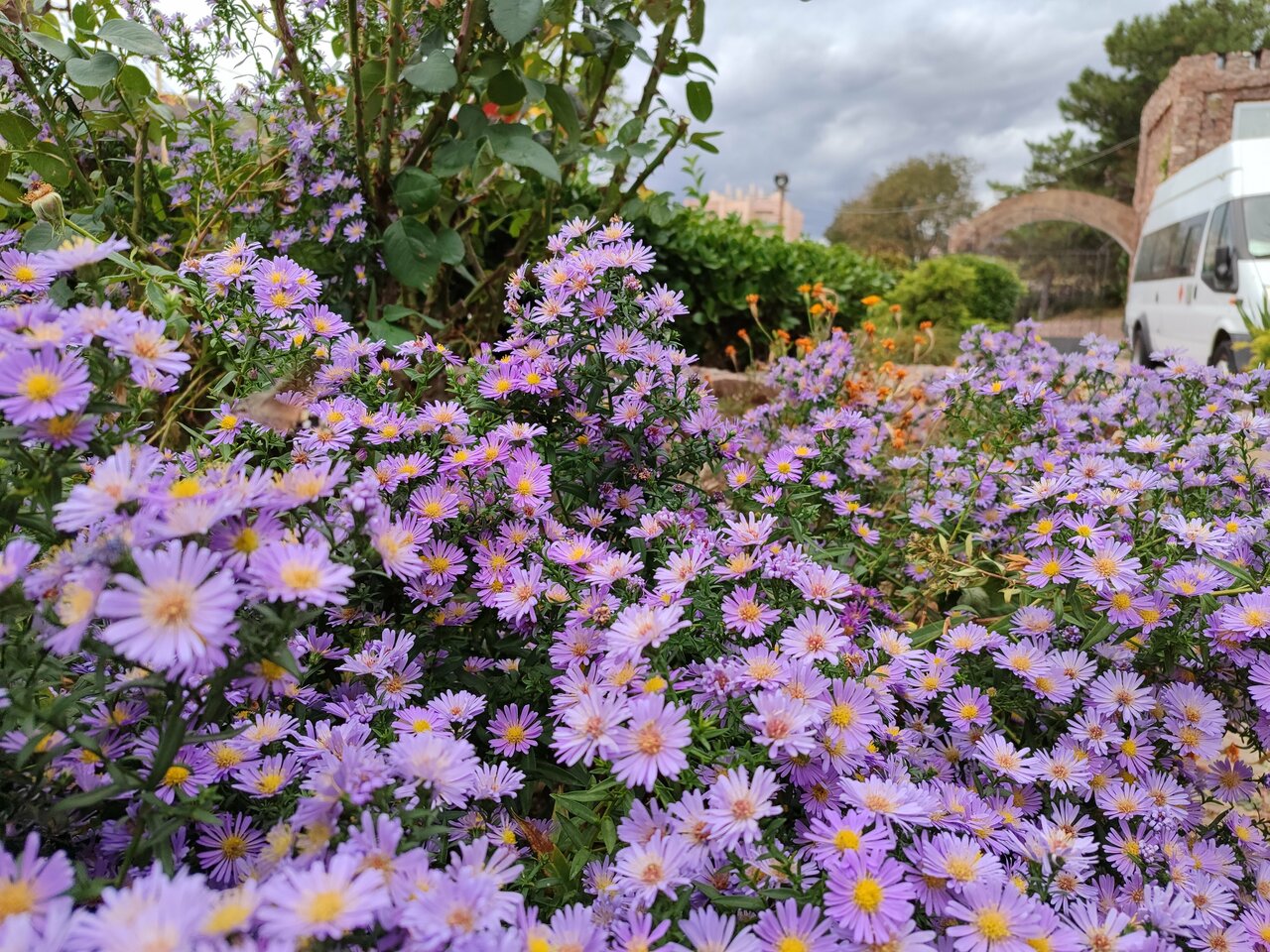 Гостиница Маджестик Партенит-33