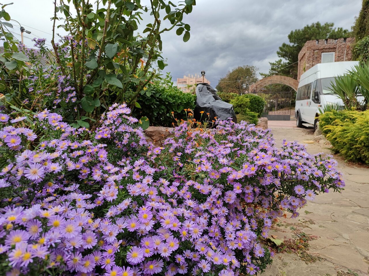 Гостиница Маджестик Партенит-55