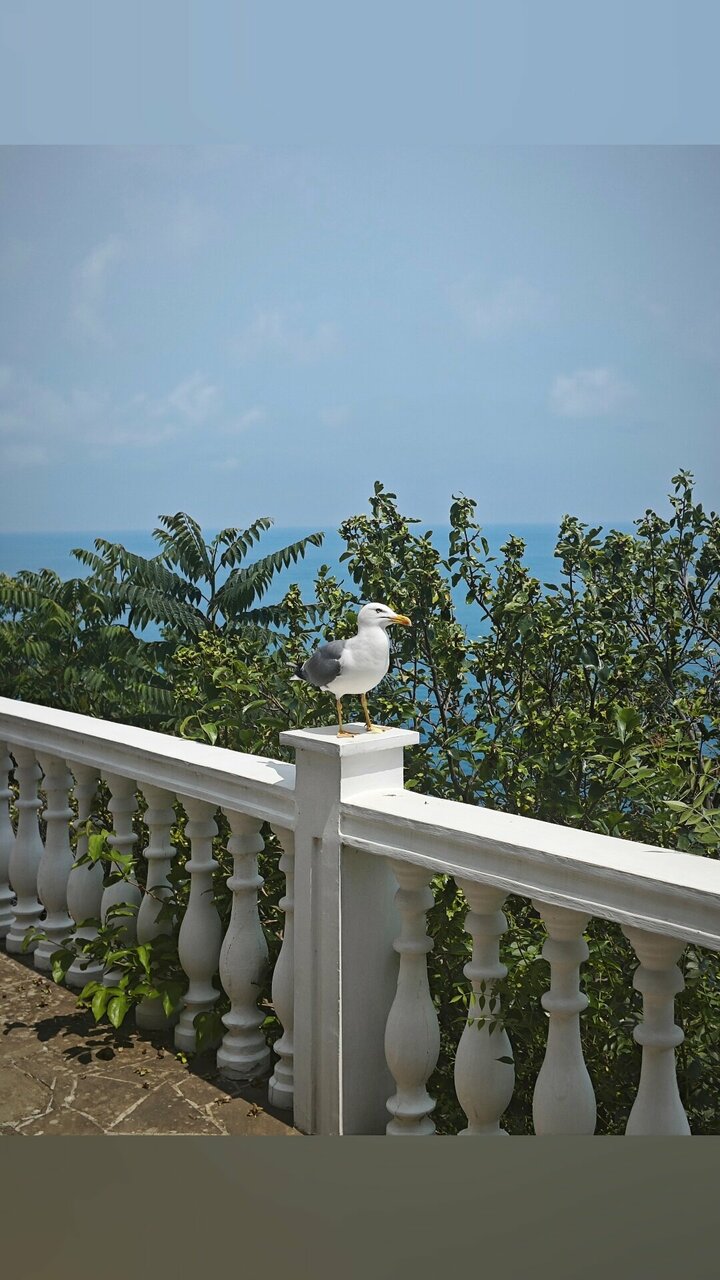 Гостиница Маджестик Партенит-191