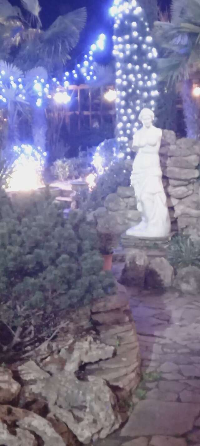 Гостиница Маджестик Партенит-232