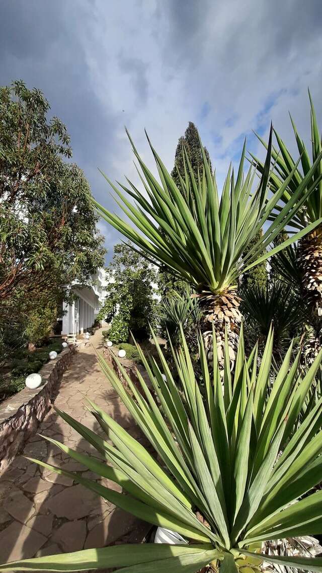 Гостиница Маджестик Партенит-165