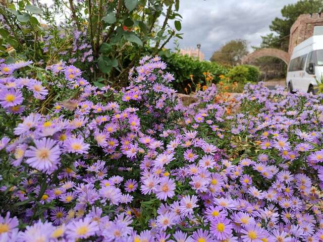 Гостиница Маджестик Партенит-32