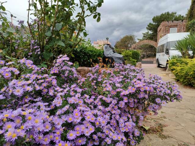 Гостиница Маджестик Партенит-54