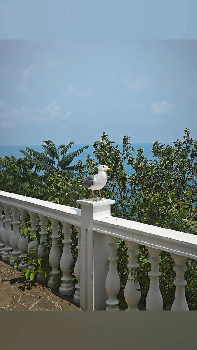 Гостиница Маджестик Партенит-190