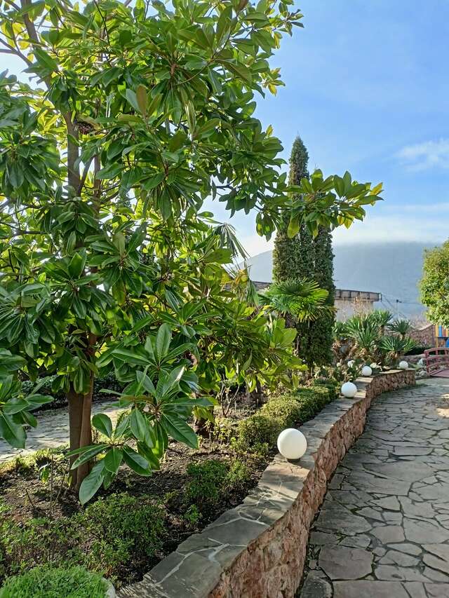 Гостиница Маджестик Партенит-151